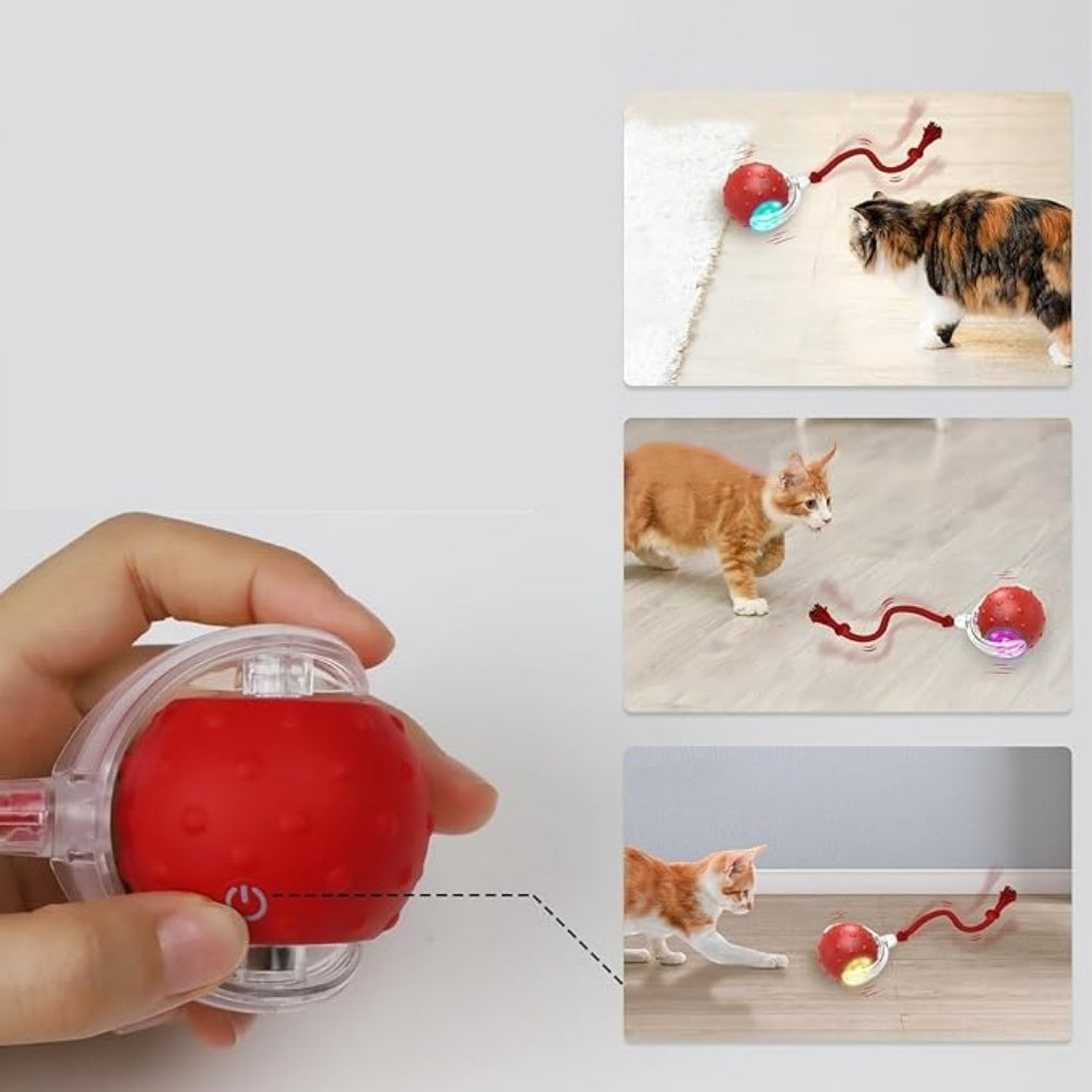 Intimeg Pelota Interactiva Roja Para Gatos_3