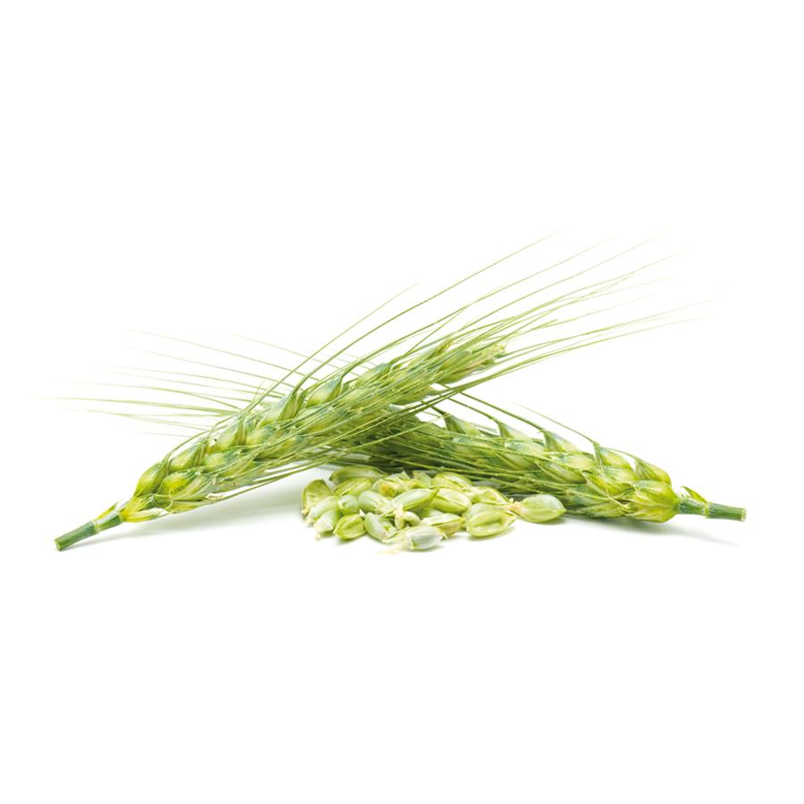 Levadura de Cerveza El Granero, 500 Comprimidos 400 mg