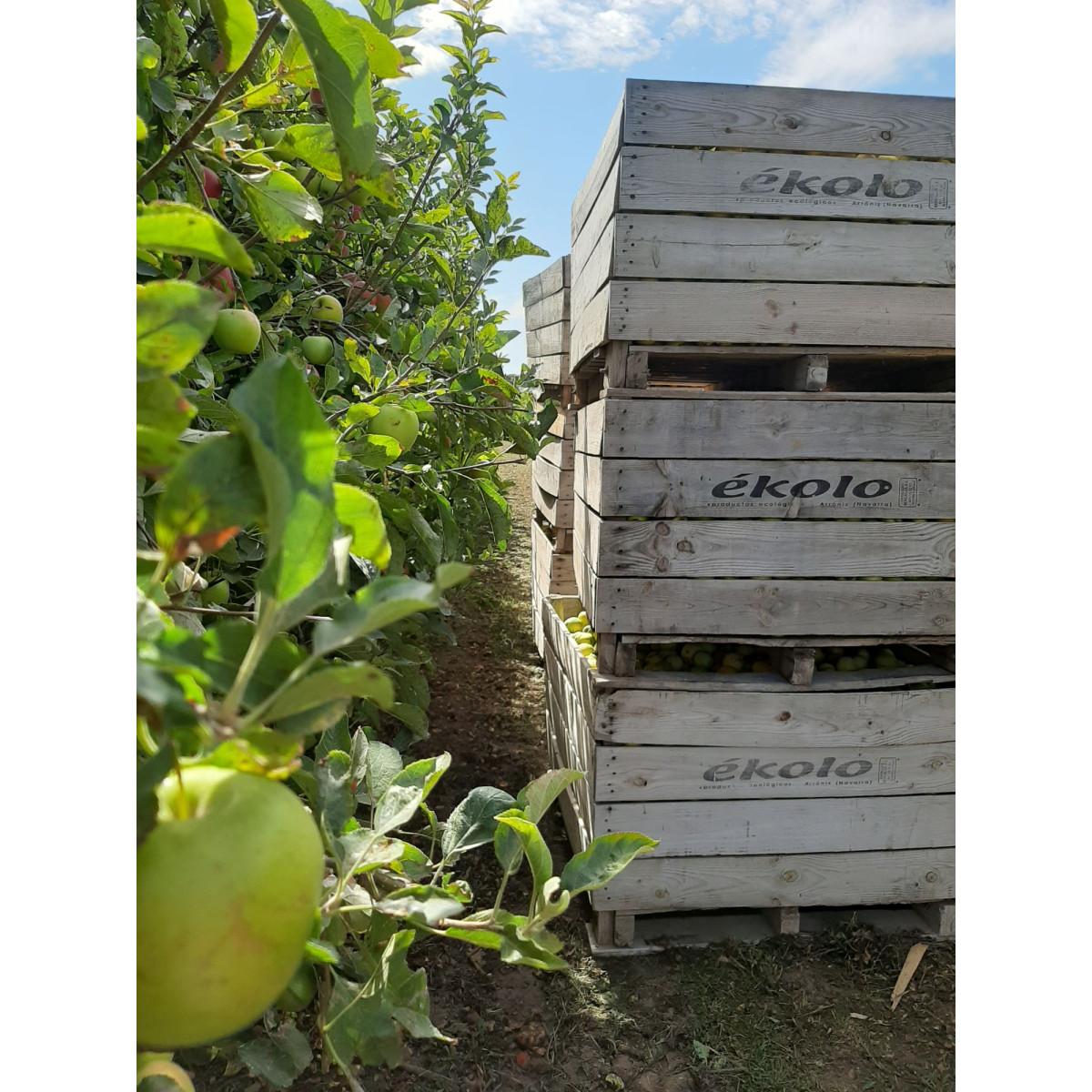 Elaborado de Manzana y Kiwi Ecológica sin azúcares añadidos Ékolo 700 g
