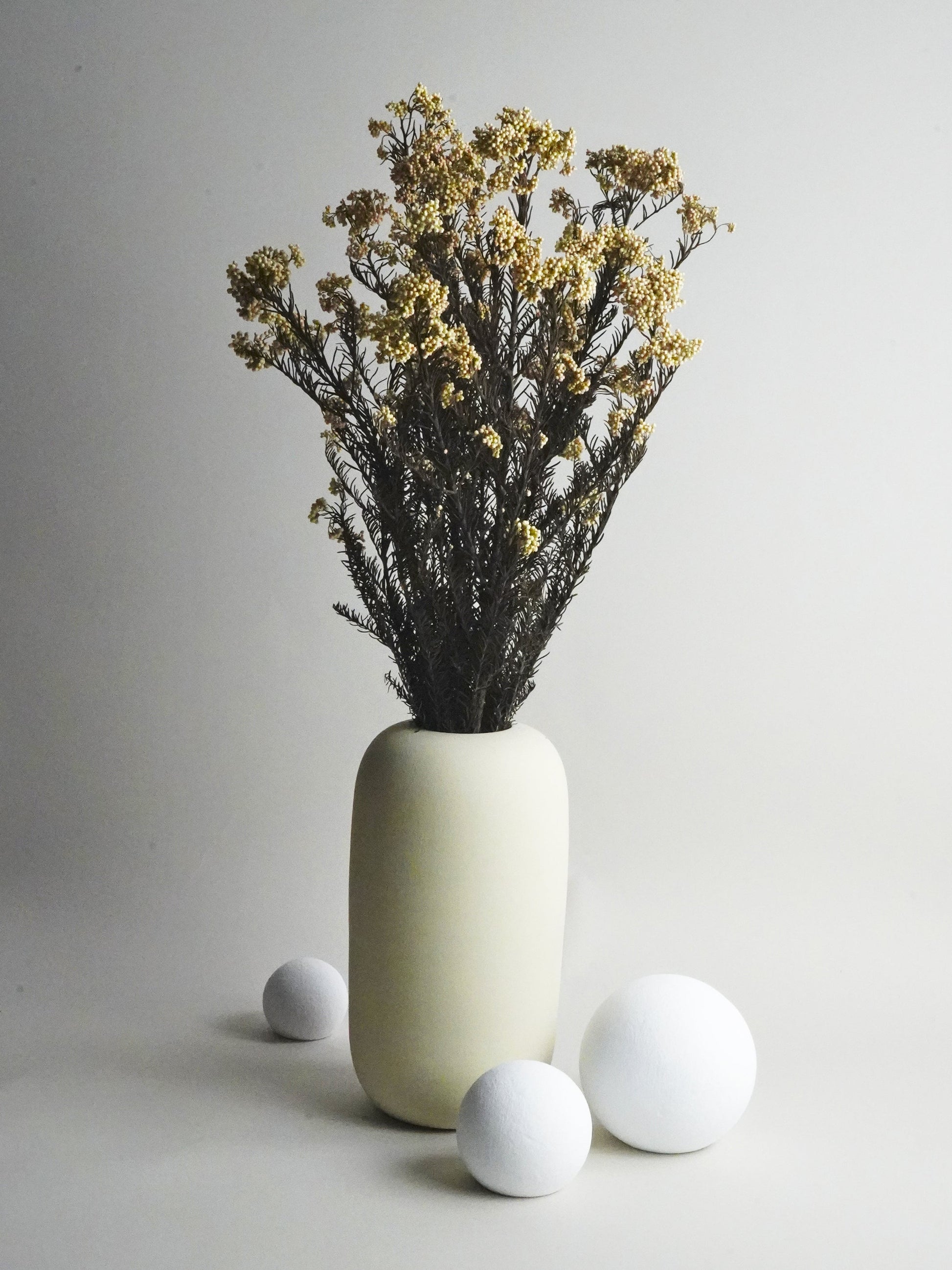 Flor De Arroz Preservado