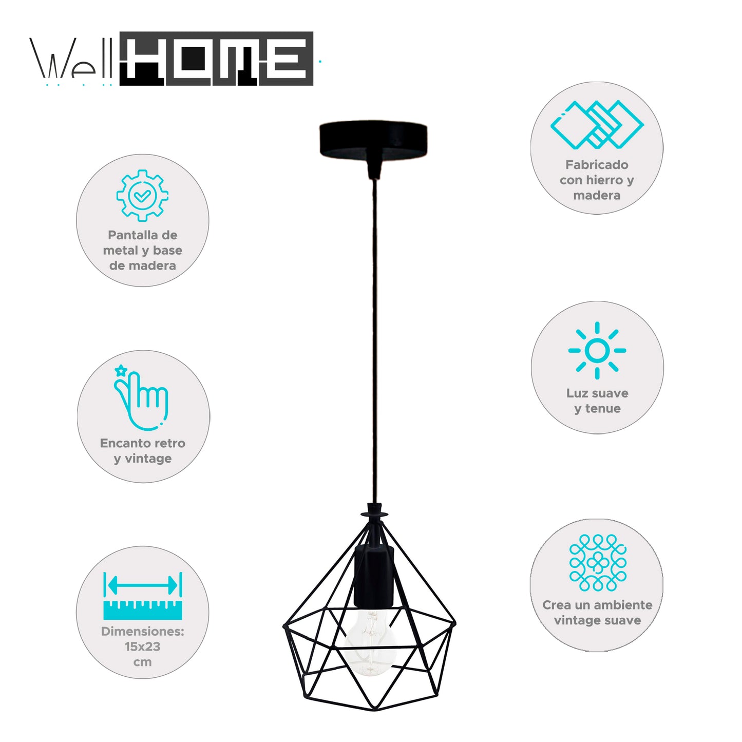 Wellhome Lámpara Suspensión Metálico Negro Ø19x22cm_1