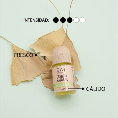 Esencia Natural Raíz Angélica SYS Aromas 12 ml | Aroma Herbal y Balsámico | Para Quemadores y Humidificadores_2