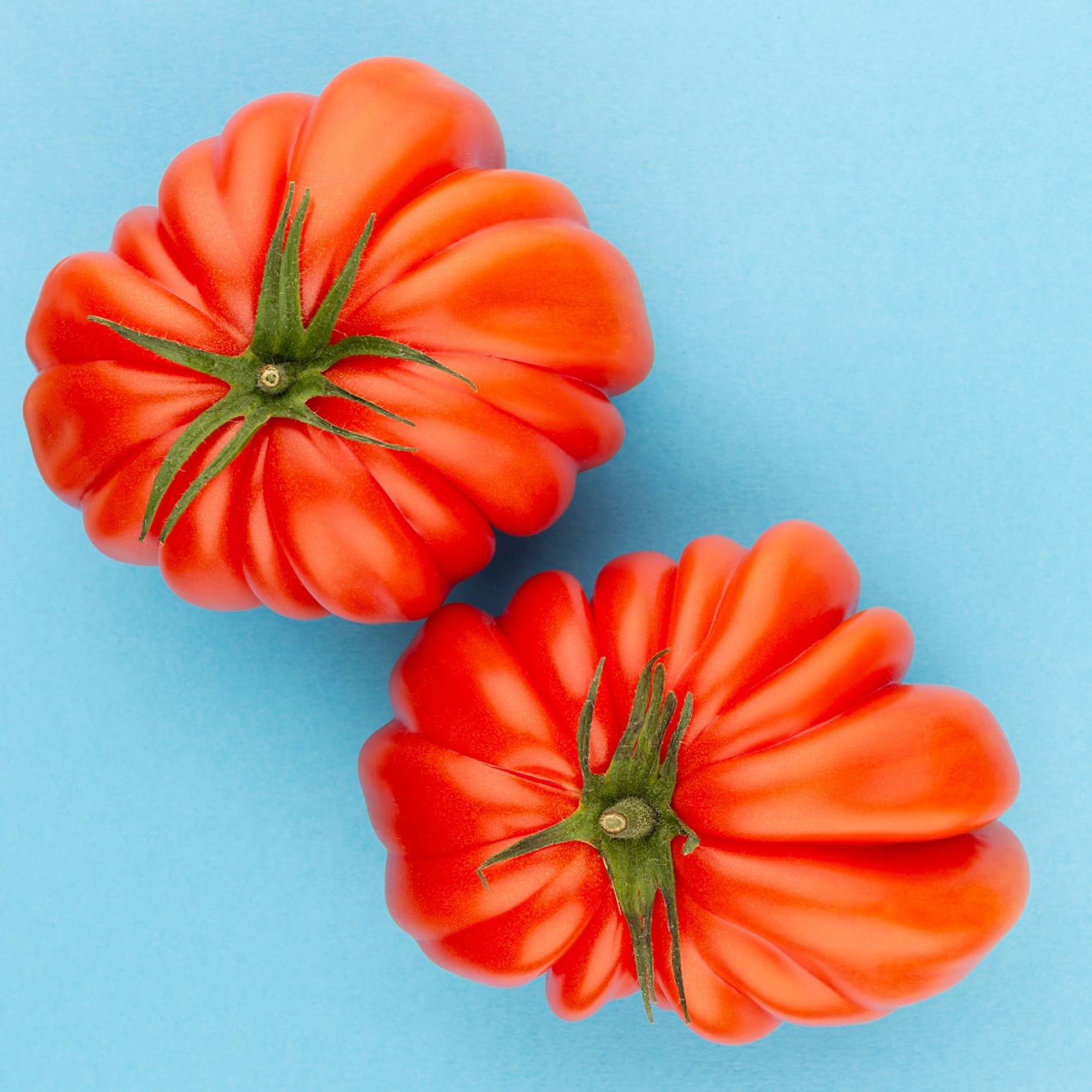 Mini Huerto de Tomates Cherry, Corazón de Buey y RAF | Huerto Urbano Fácil - Resetea_4