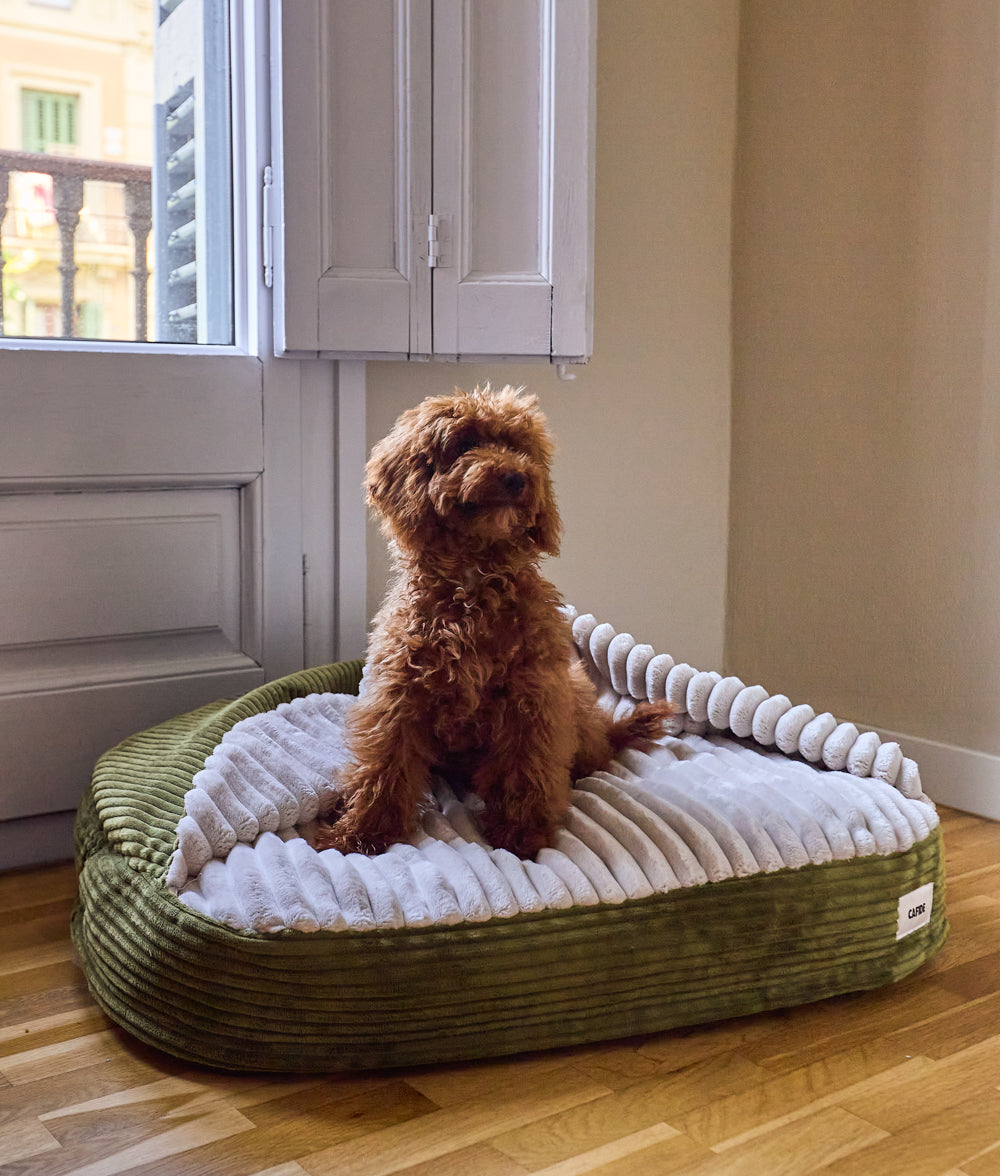 Cafide Cama Con Capucha Para Perro Con Tejido De Pana Verde. Modelo Maso. Talla M (60x80x10 Cm)_3