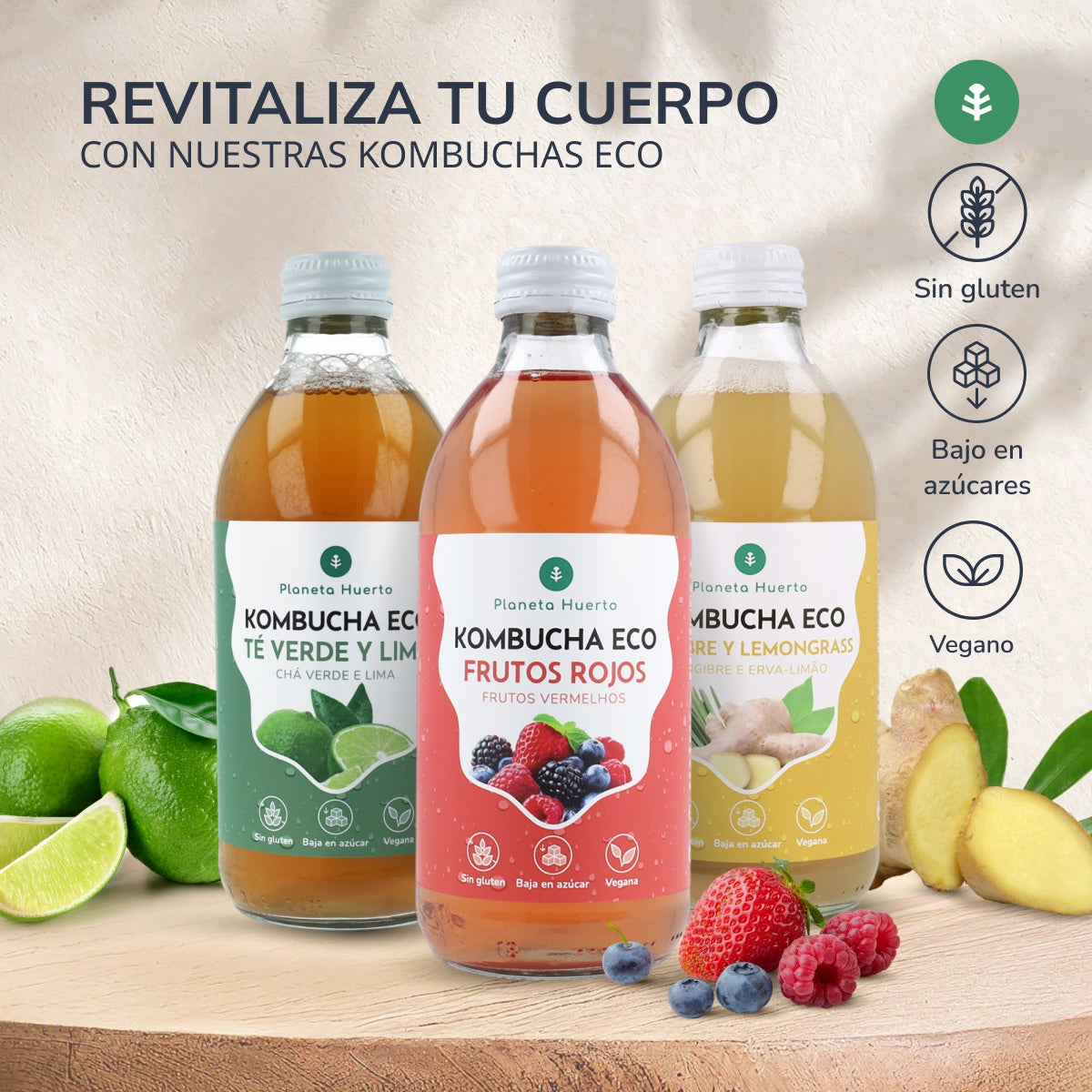 Kombucha ECO Jengibre y lemongrass Planeta Huerto 330 ml