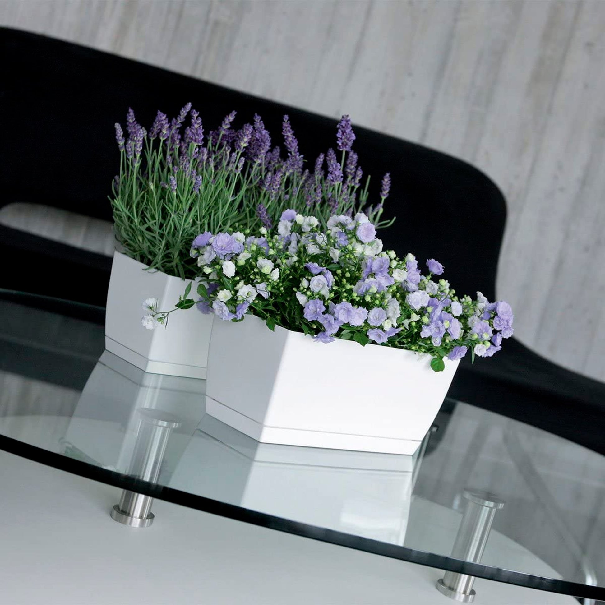 2x Jardinera De Plastico Coubi Case P En Color Blanco 24 (largo) X 12 (ancho) X 11 (altura) Cm_3