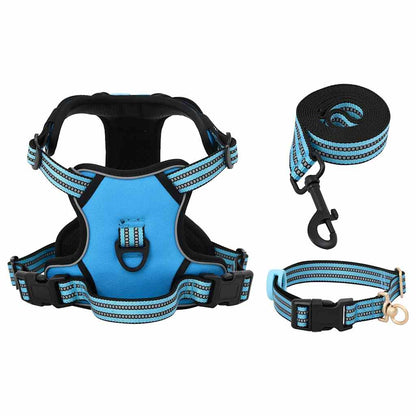 Arnés Para Perros Con Correa Y Collar Ajustable Azul L_3
