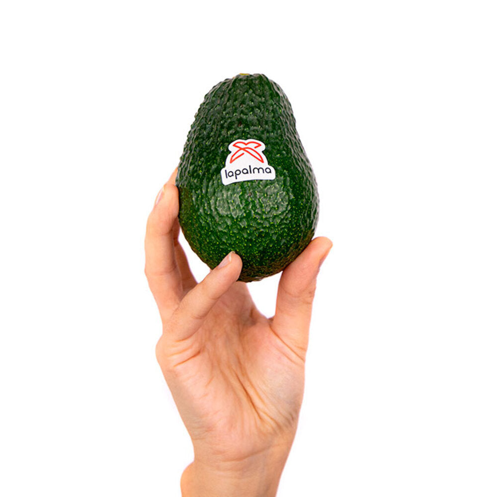 Aguacate Lamb Hass 2kg Granada La Palma_2