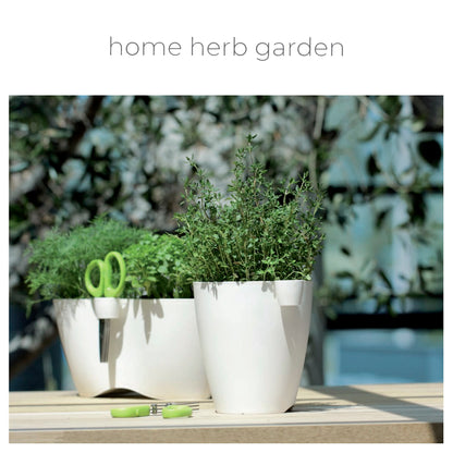 Tijeras Herbs Cut , Dimensiones (mm) 130x60x12_1