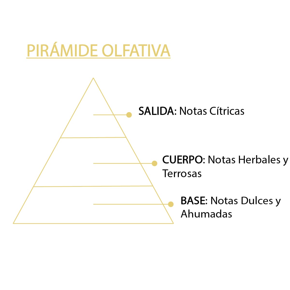 Ambientador Mikado Dama de Noche Mármol SYS Aromas 50 ml | Aroma Floral y Agreste | Relajante_1