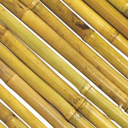 Cañizo Entero Barnizado Bambooflex 1.5x3 M Nortene_1