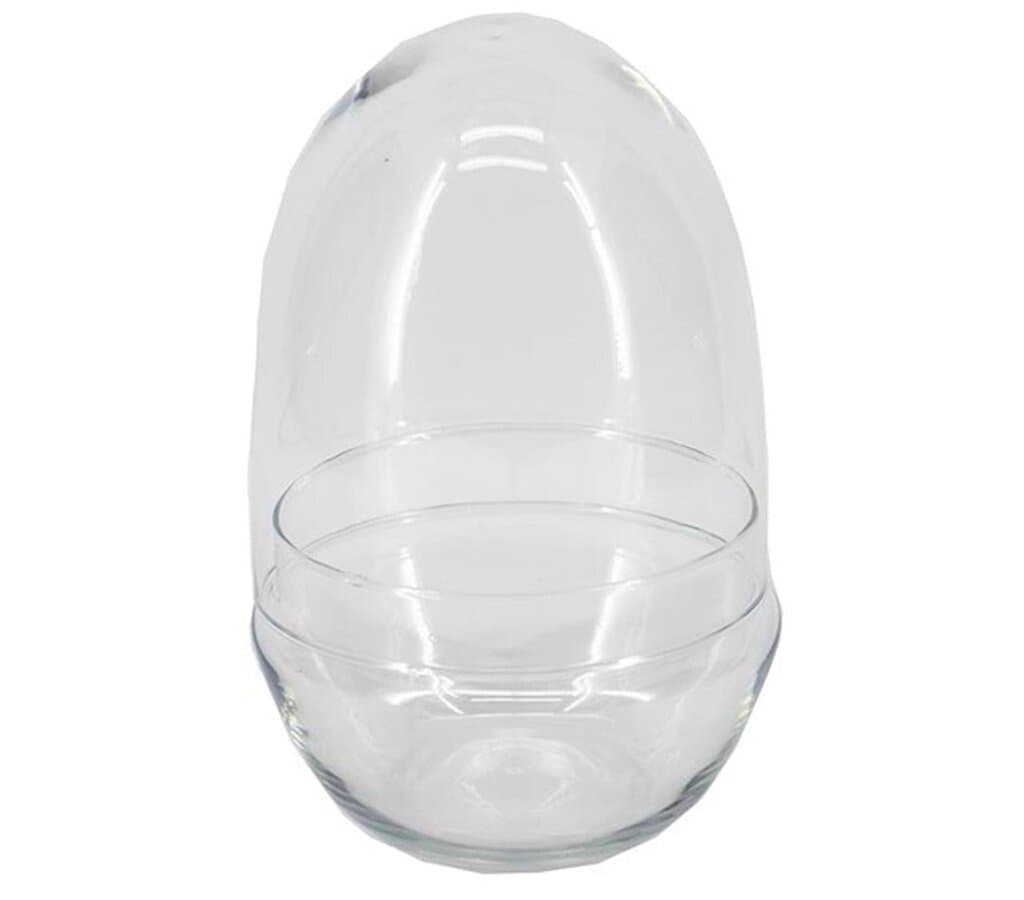 Terrario Oval D12x19.5cm