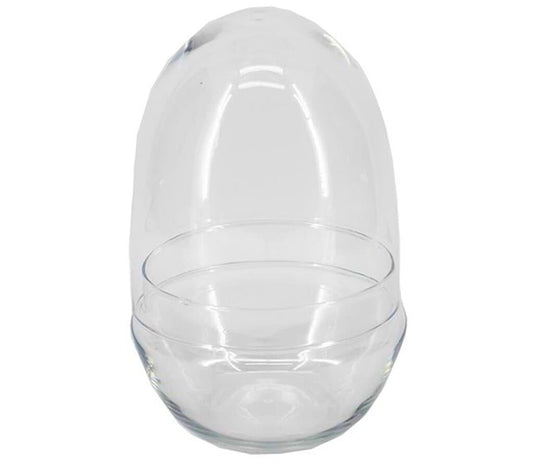 Terrario Oval D12x19.5cm