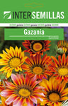 Sobre Semillas Gazania Flores