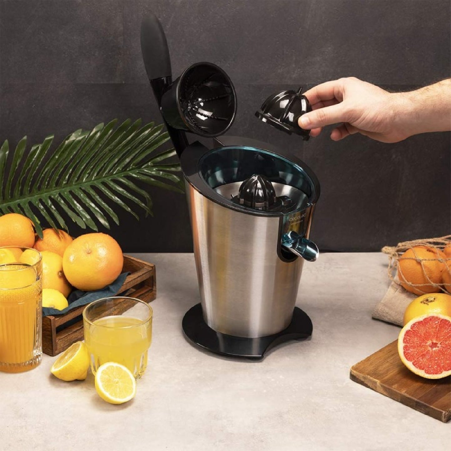 Exprimidor Eléctrico De Brazo Essentialvita Powerfresh 600 Inox. 600 W, Cuerpo Y Filtro De Acero Inoxidable, 2 Conos Desmontables, Boquilla Antigote_4