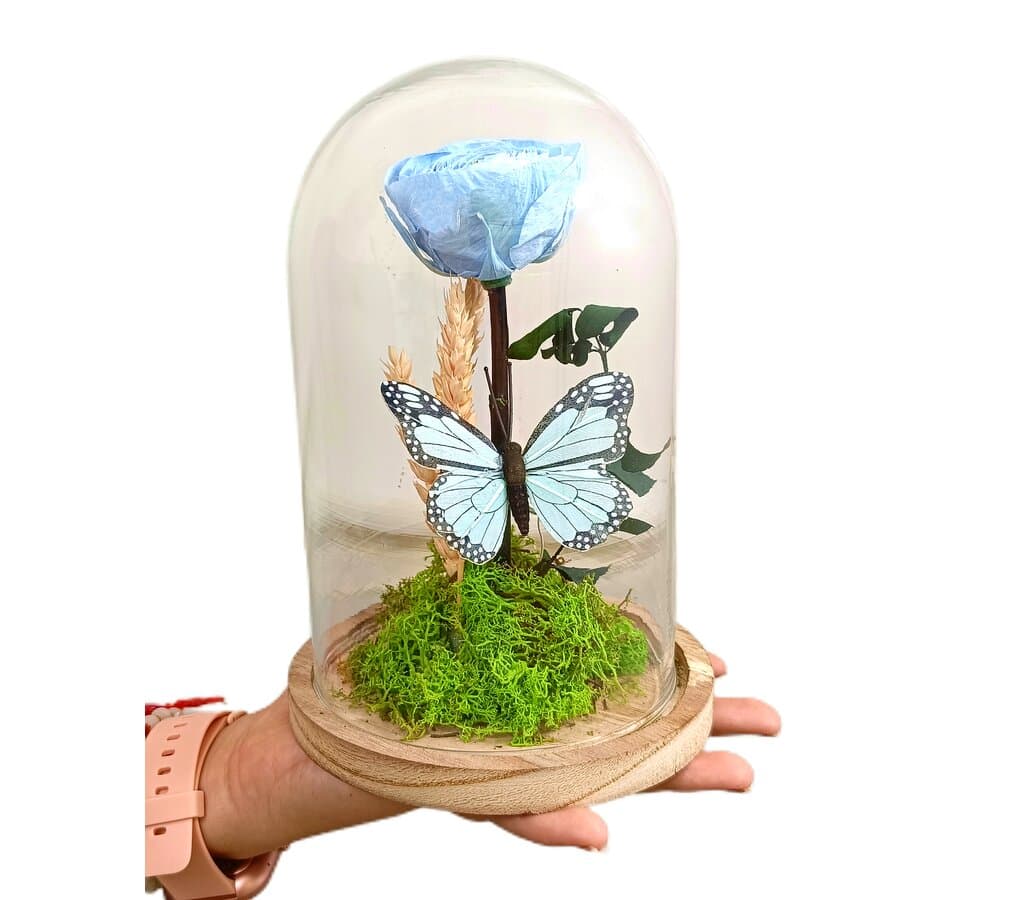 Mundo Eterno Ranúnculo Azul En Cúpula 12x20cm_1