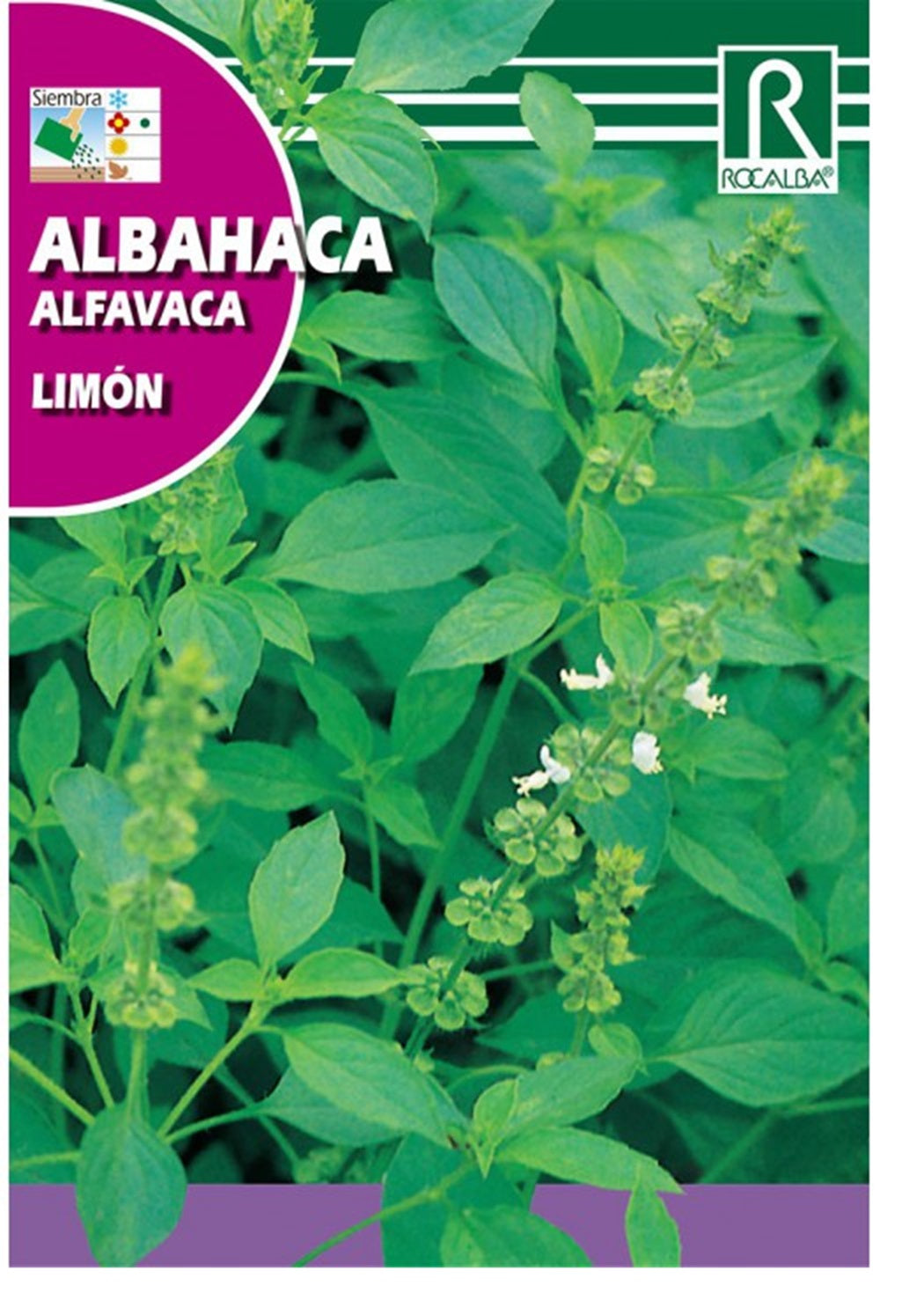Semillas Albahaca Hoja Fina 2g_0