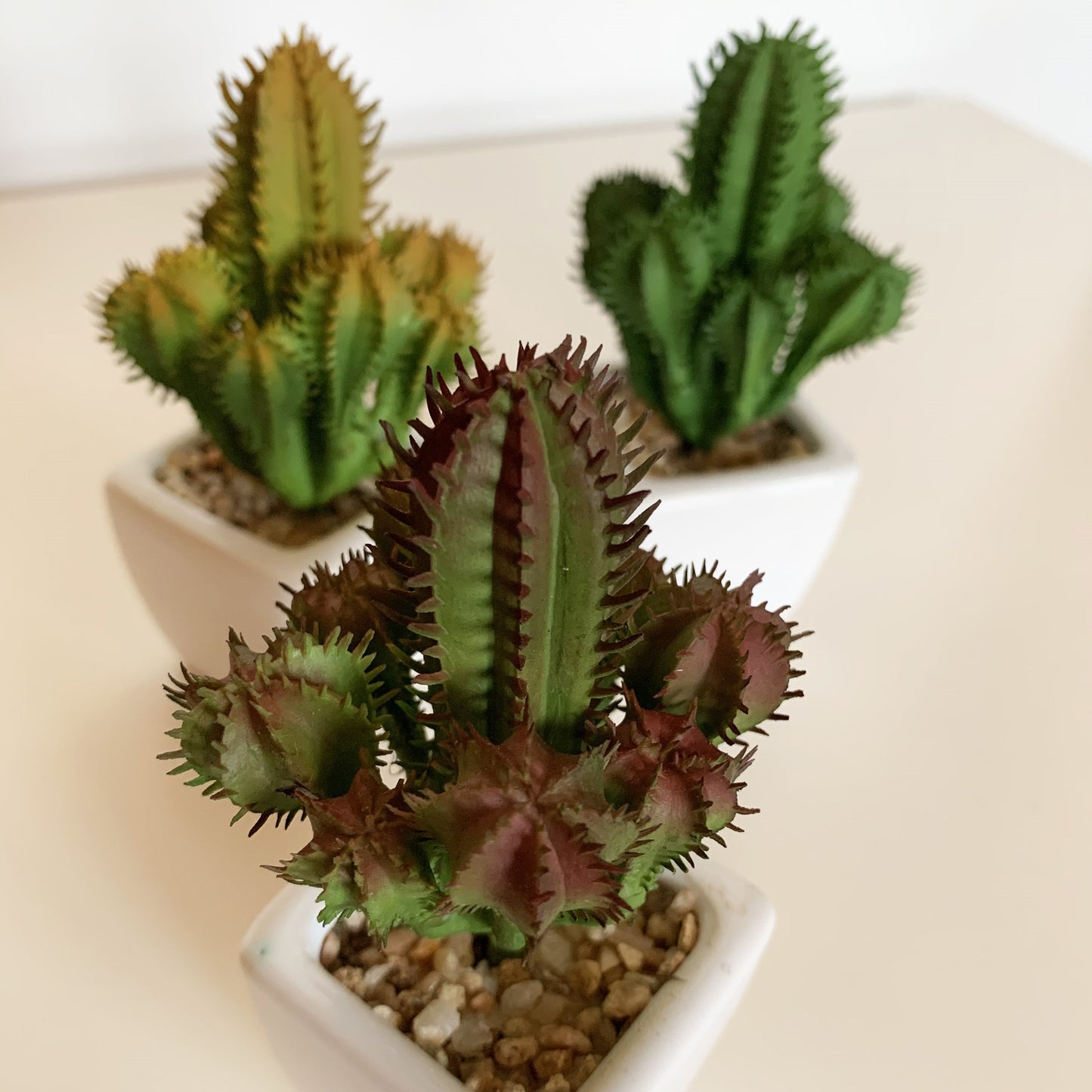 Pack 12 Cactus Cardon Surtidos Artificiales Con Maceta De Ceramica_2