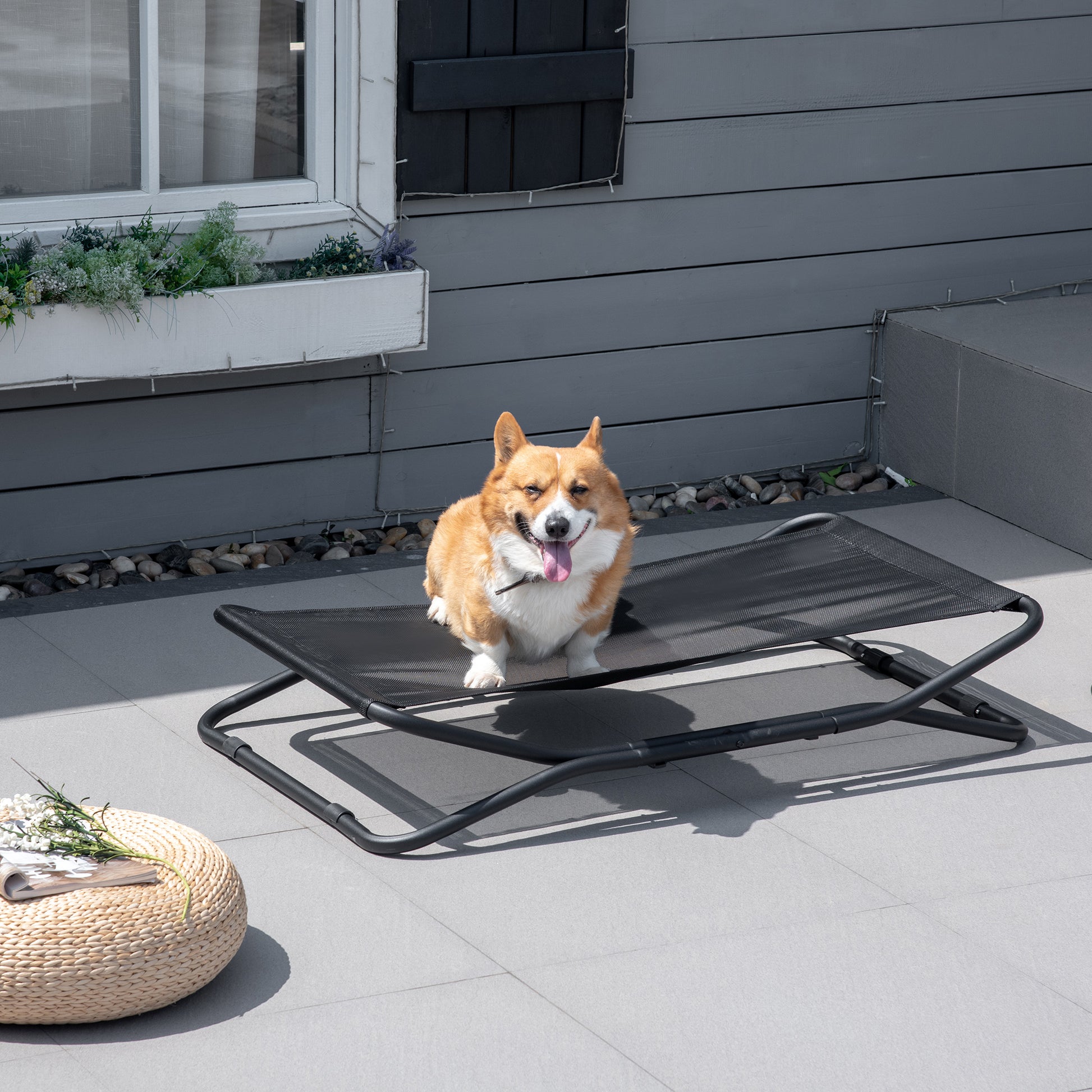 Pawhut Cama Elevada Para Perros Plegable Con Malla Transpirable 111x65,5x19cm_1