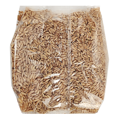 Avena En Grano Eco Bionsan 500gr_1