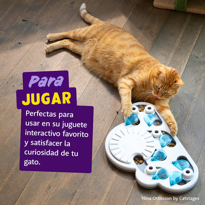 Galletitas de Salmón Premios naturales para gatos Edgard Cooper 50 g