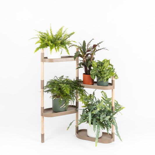 Soporte Modular Citysens De 4 Bandejas – Color Corteza De Pino, Polipropileno 100% Reciclado Y Madera Ecológica Pefc_0