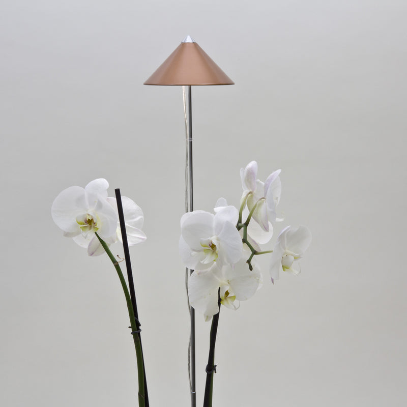 Lámpara Para Plantas Sunlite Cobre.