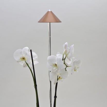 Lámpara Para Plantas Sunlite Cobre.