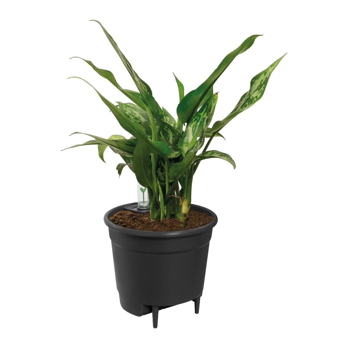Sistema de Riego automático Elho Insert 13cm Living Black 100% reciclado