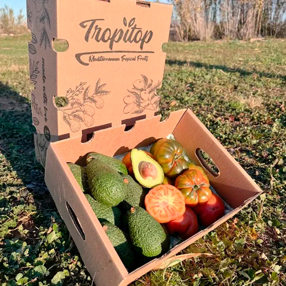 Caja 4kg Pack Aguacates Y tomates Raf Del Campo Tropitop_4