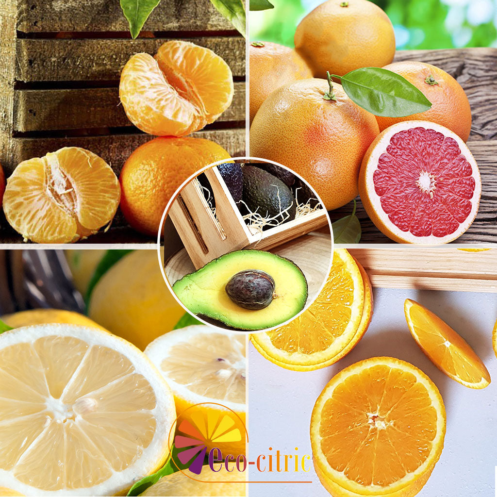 Combi Naranja, Mandarina , Limón, Pomelo Y Aguacate 10kg ecológico_0
