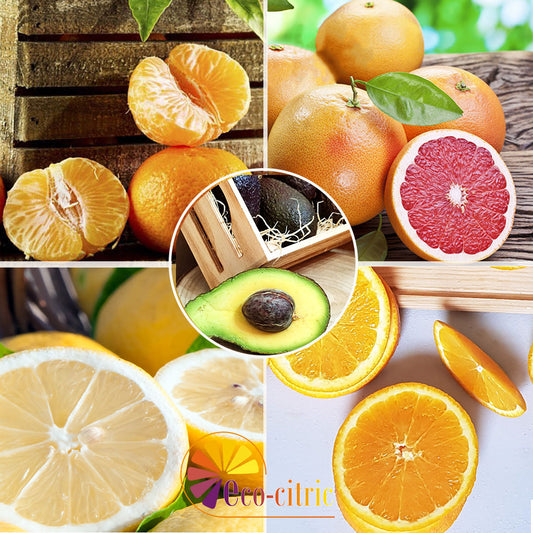 Combi Naranja, Mandarina , Limón, Pomelo Y Aguacate 20kg ecológico_0