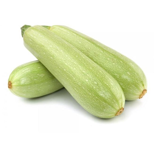 Plantón de Calabacín Blanco 6 uds. Gama Tradicional.
