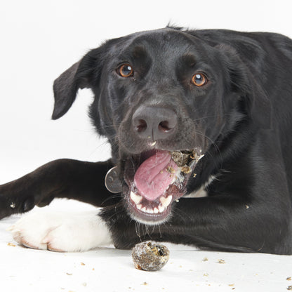 Fish4dogs Snack Dental Para Perro – Fish Knots 100 G (pack De 10)_2