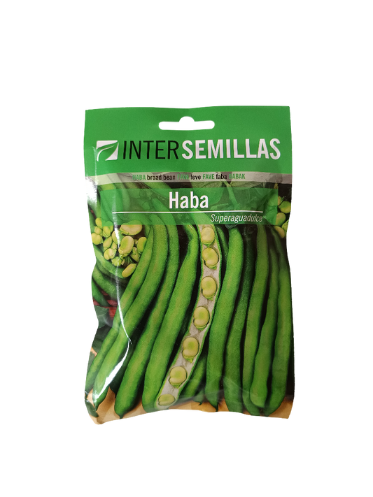 Semillas De Haba Variedad Superaguadulce 100 Gr._0