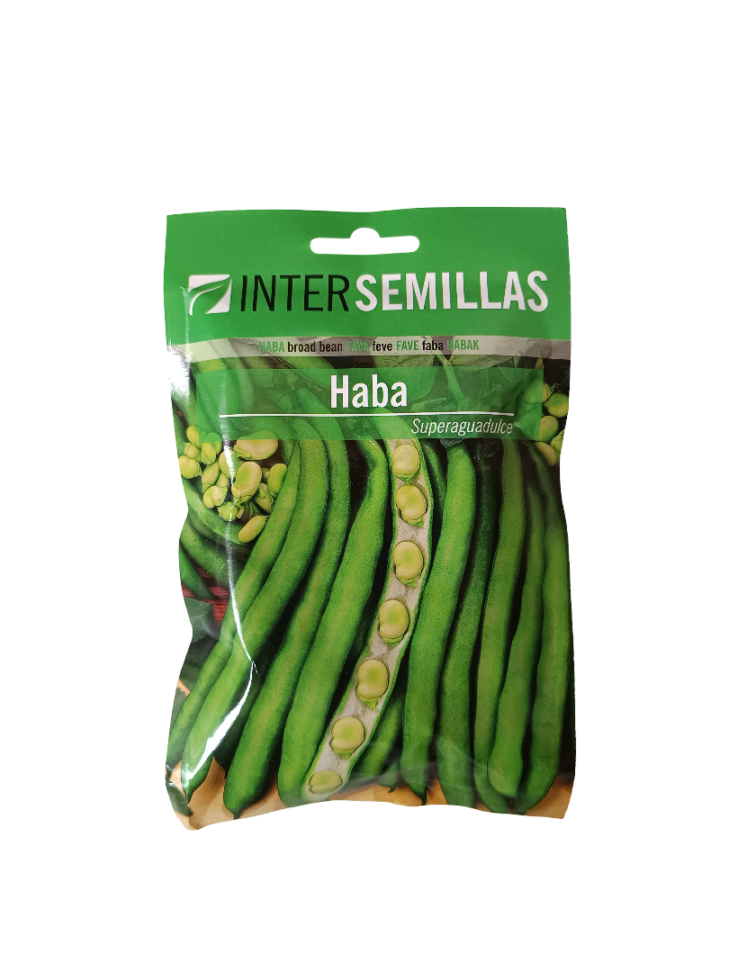 Semillas De Haba Variedad Superaguadulce 100 Gr.