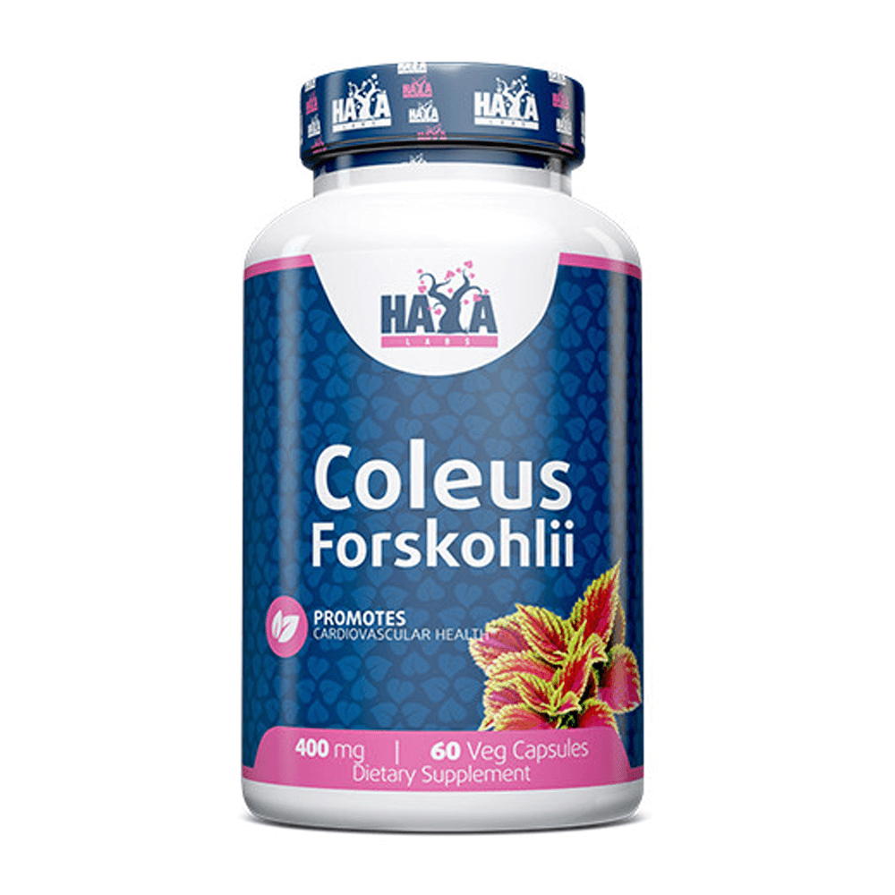 Coleus Forskohlii - 60 Cápsulas - Quemadores - Haya Labs_0