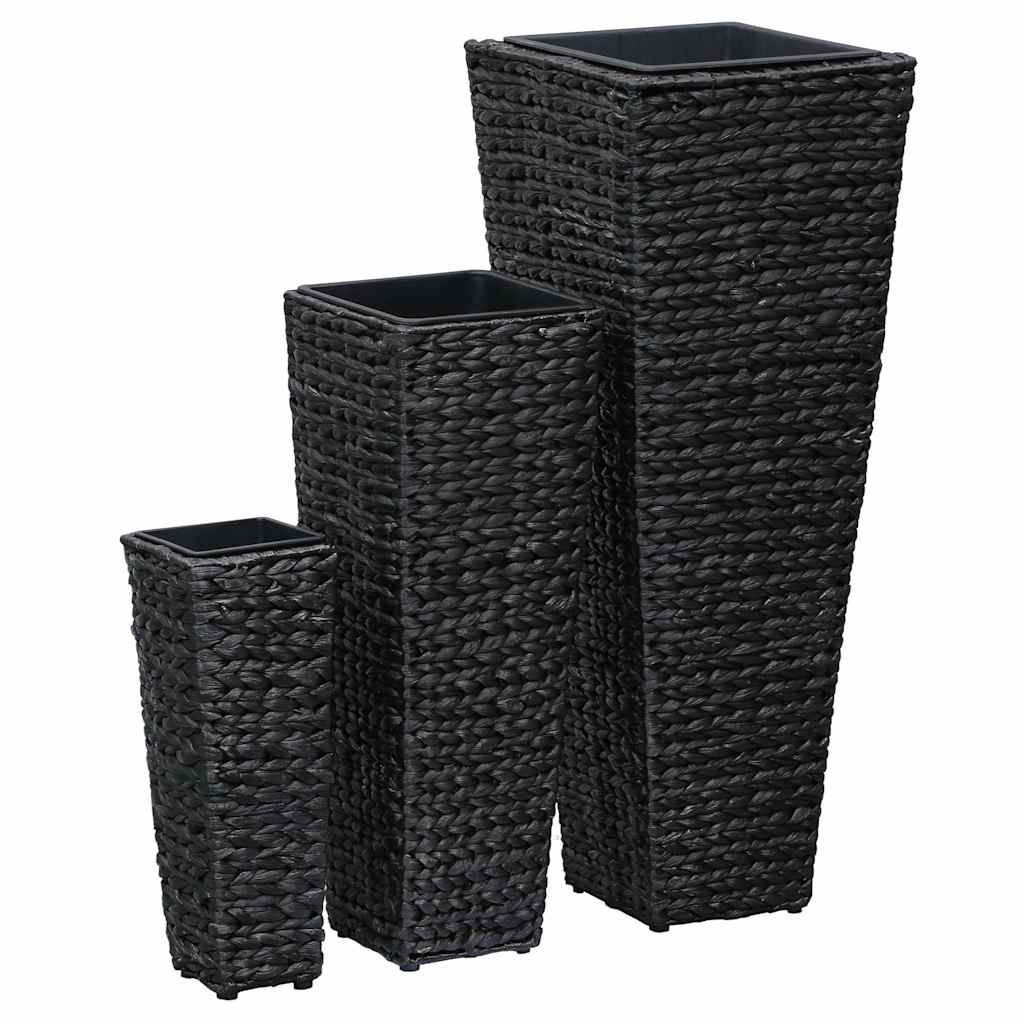 Conjunto De Arriates 3 Piezas Jacinto De Agua Negro_1