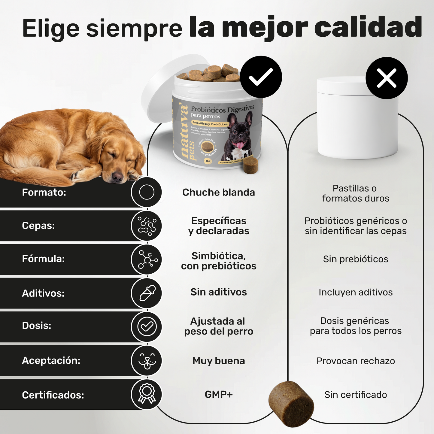 Pack 2x Probiótico Para Perros. Bienestar Digestivo. Suplementos Mascotas. 240 Masticables. Natuva Pets_4