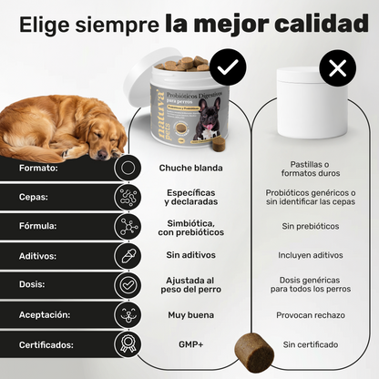 Pack 2x Probiótico Para Perros. Bienestar Digestivo. Suplementos Mascotas. 240 Masticables. Natuva Pets_4