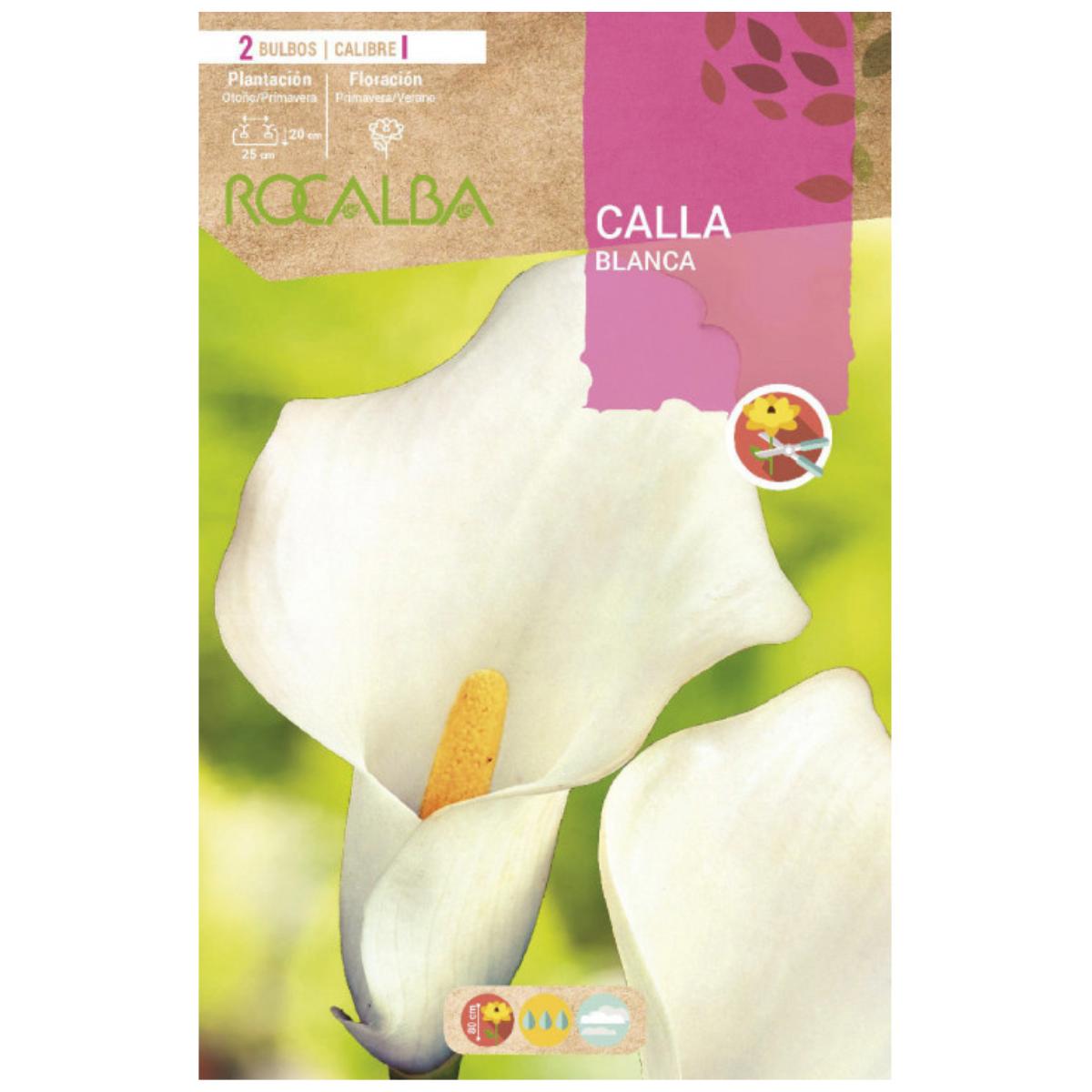 Bulbo Calla blanca 2 uds Rocalba