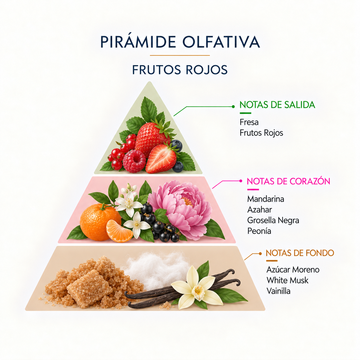 Recambio Mikado Frutos Rojos Mármol SYS Aromas 200 ml | Con Palos | Aroma Afrutado y Dulce | Estimulante_5