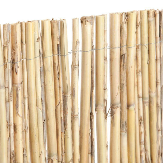 Cañizo Entero Natural Excelcane 1,5x5 M Nortene_0
