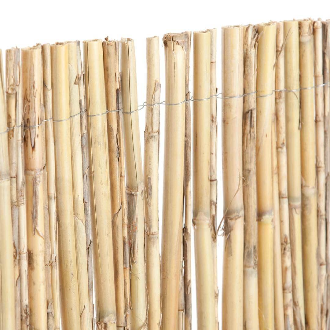 Cañizo Entero Natural Excelcane 1.5x5 M Nortene_0