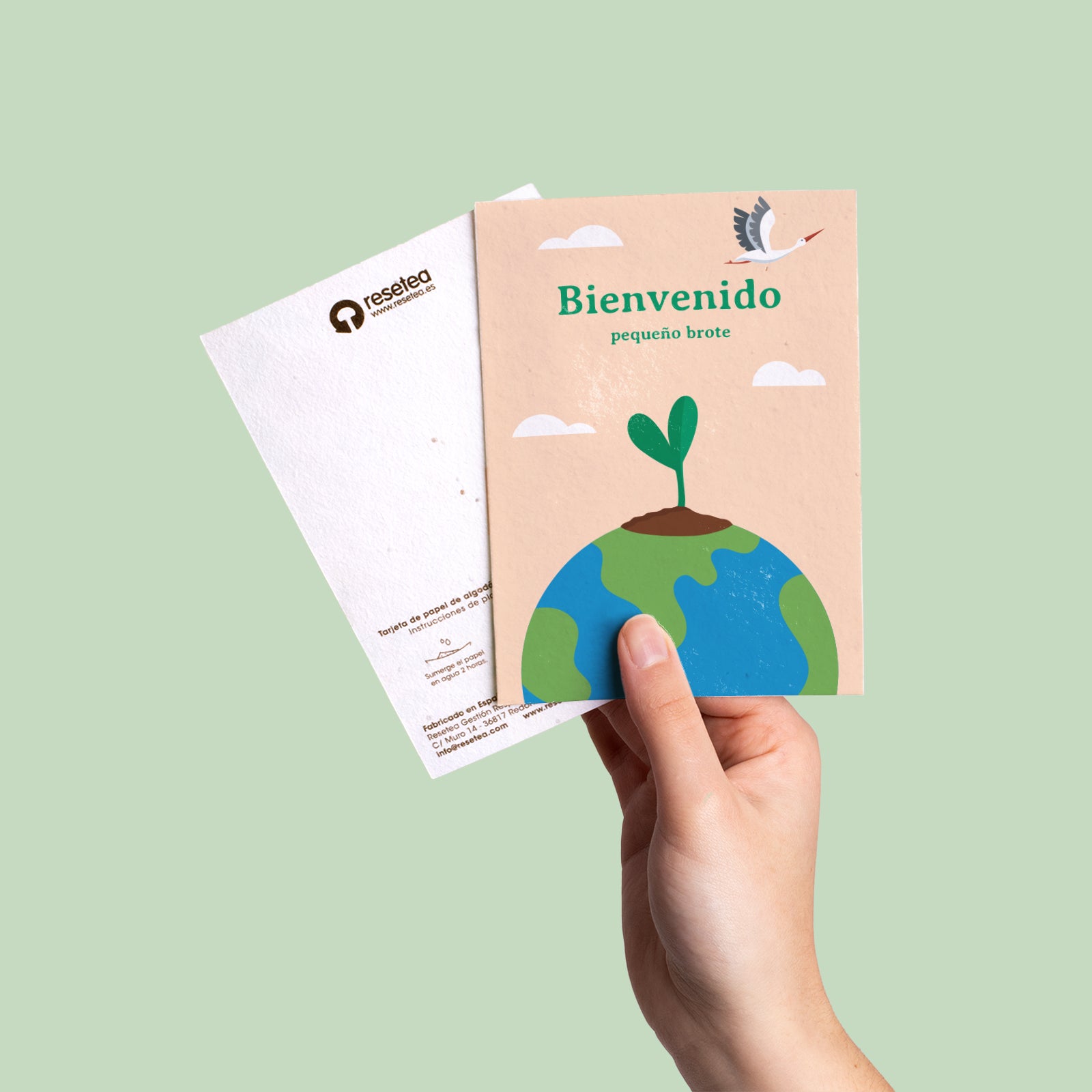Postal Plantable Bienvenido Con Semillas De Zanahoria – Regalo Original Que Florece Para Recién Nacidos | Resetea_3