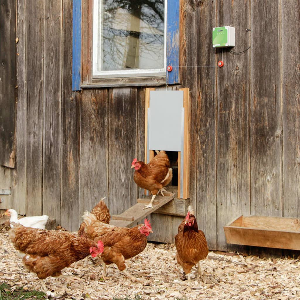 Kerbl Puerta Corredera Para Gallinero 43x40 Cm_1
