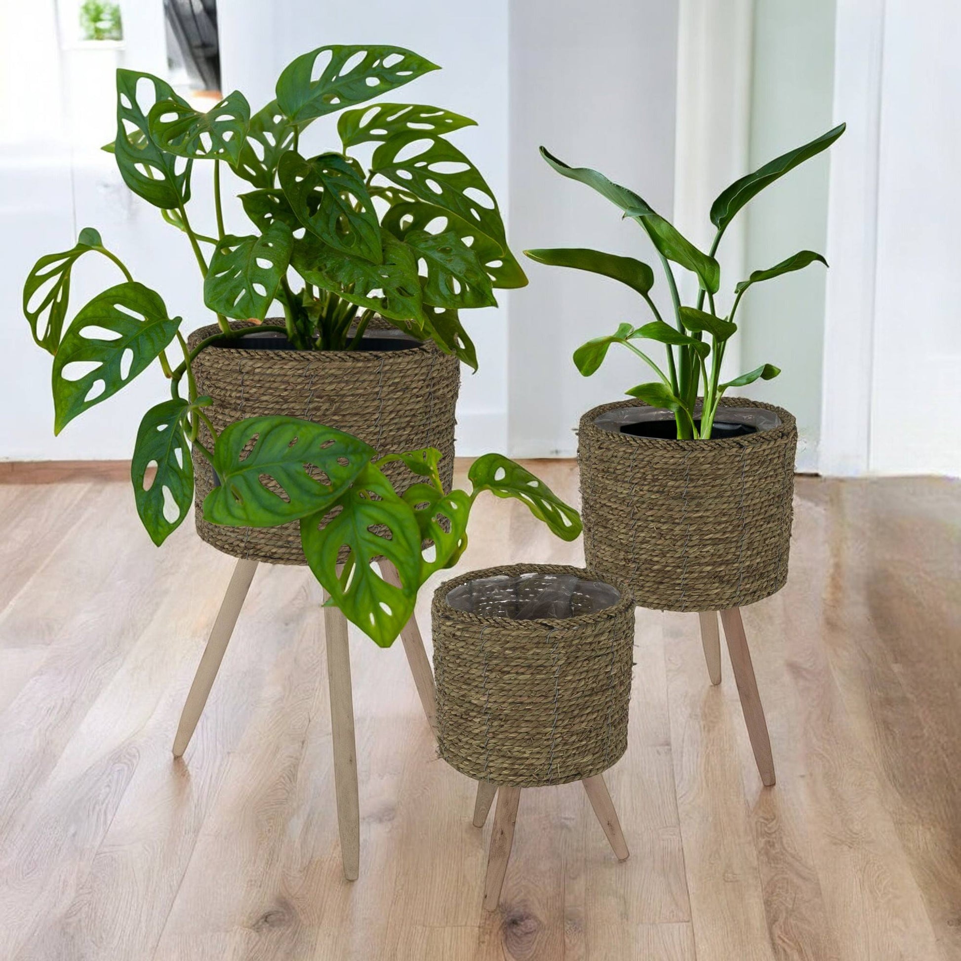 Well Home Set 3 Maceteros Ø22ø26ø30cm