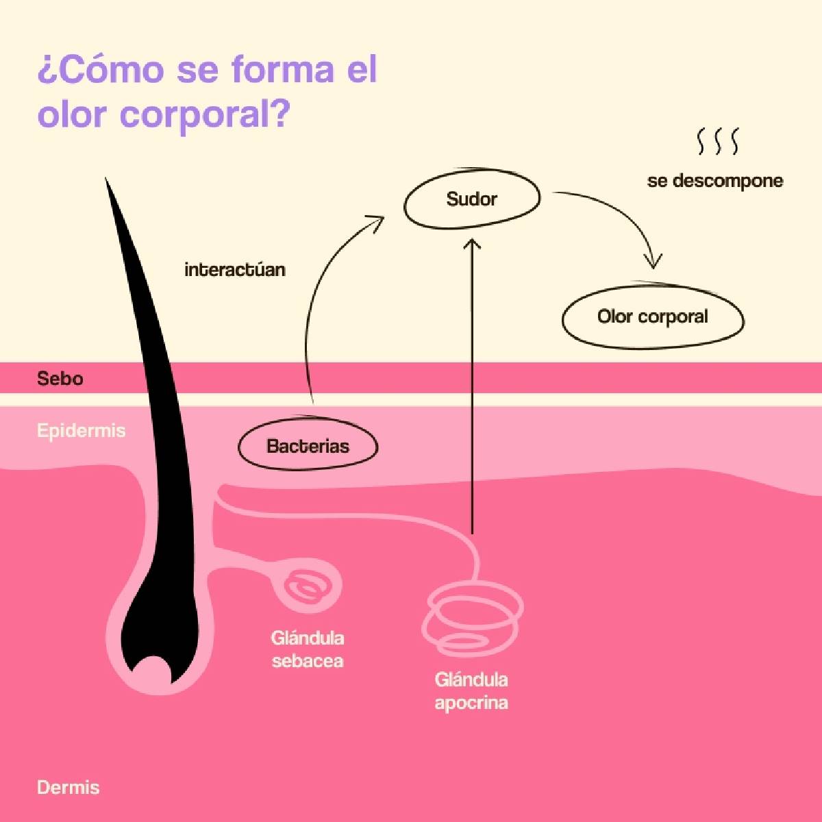 Desodorante Caring Smart Microbiome Freshly 40ml