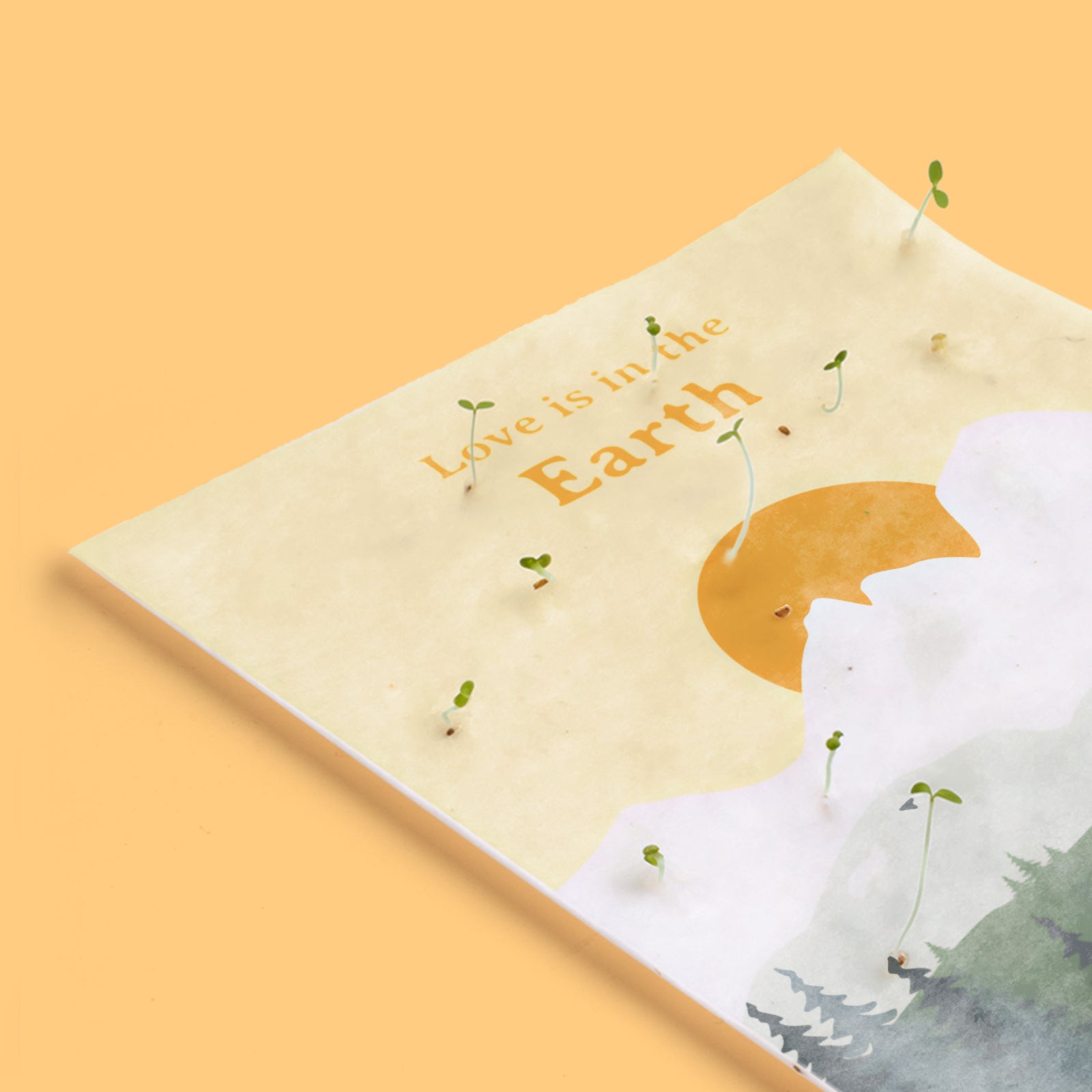 Postal Plantable Love Is In The Earth Con Semillas De Manzanilla – Regalo Romántico Que Florece | Resetea_2