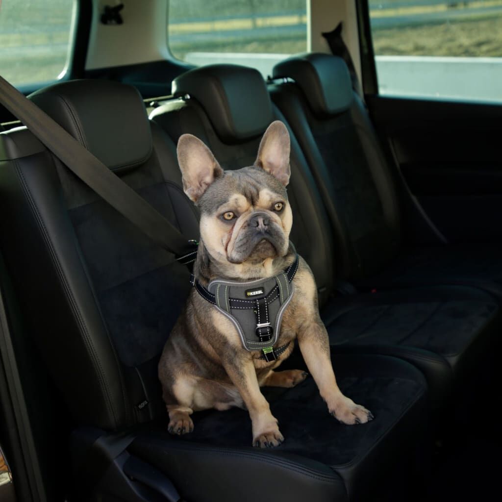 Kerbl Arnés De Seguridad De Coche Para Mascotas Negro 68-85 Cm_4
